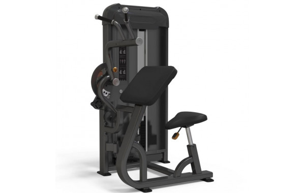 Бицепс\трицепс AnyFit PS03-84 600_380