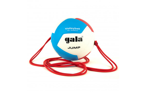 Мяч волейбольный на растяжках Gala Jump 12 BV5485S р.5 600_380