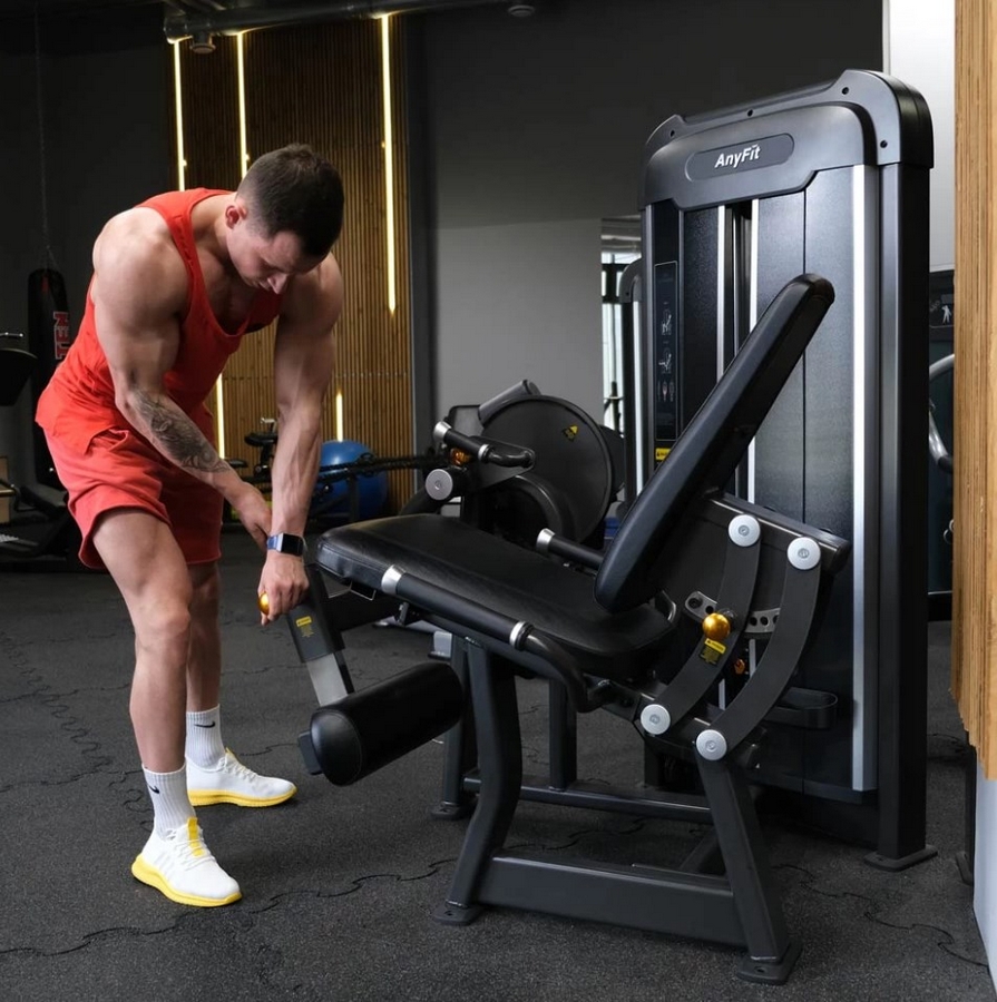 Разгибание ног AnyFit PE201-96 895_900