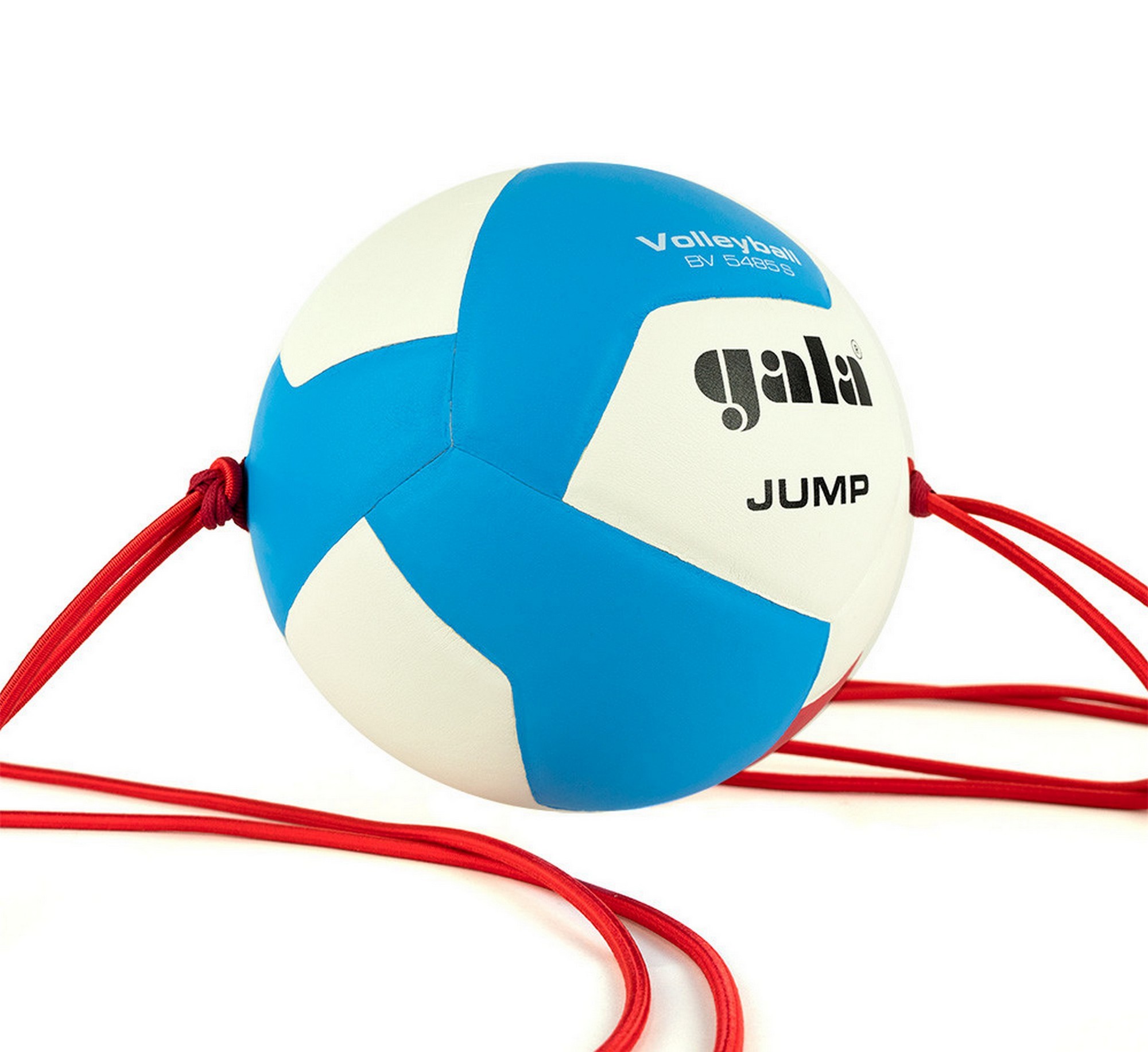 Мяч волейбольный на растяжках Gala Jump 12 BV5485S р.5 2000_1834