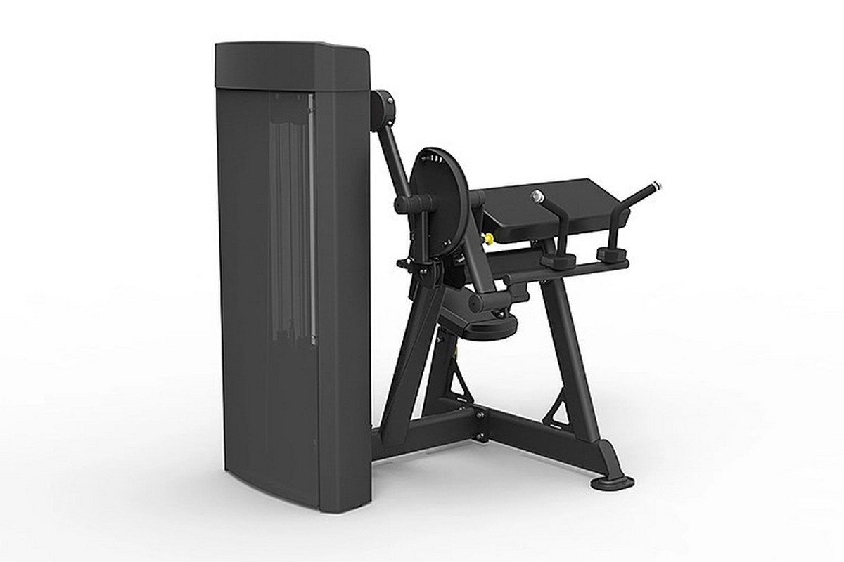 Бицепс\Трицепс сидя Spirit Fitness SP-4607 1200_800