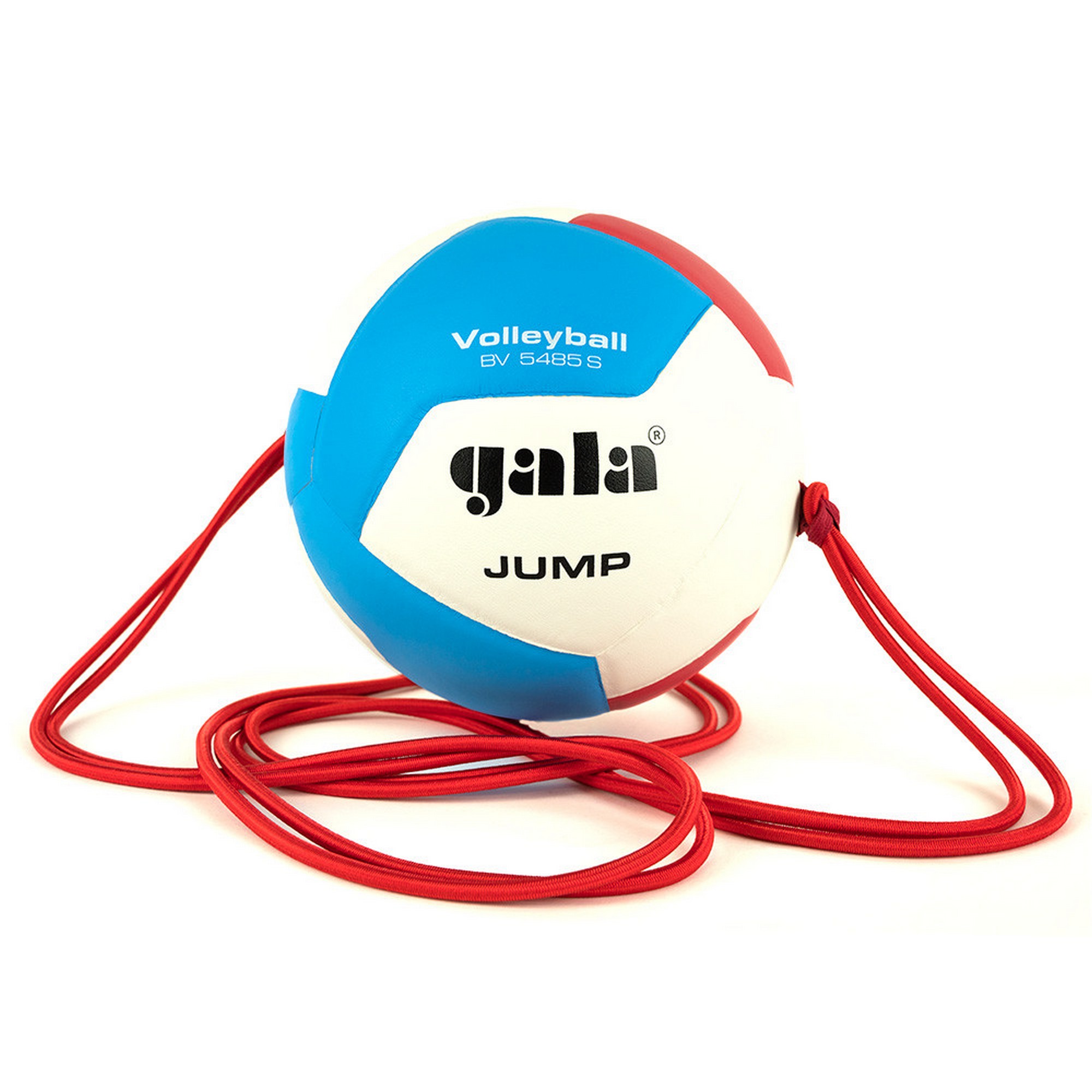 Мяч волейбольный на растяжках Gala Jump 12 BV5485S р.5 2000_2000